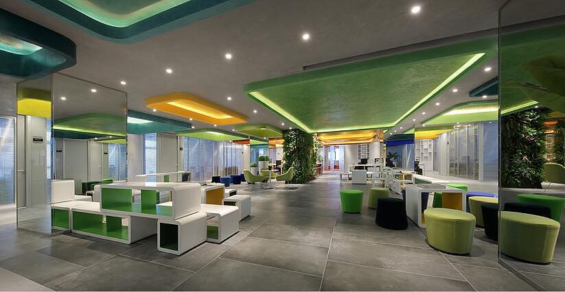 辦公室旺財?shù)牧N風水植物